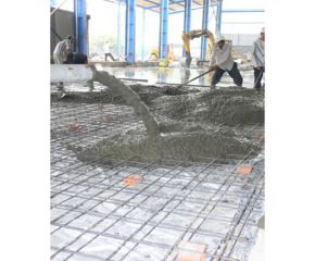 Các loại sản phẩm và hướng dẫn chọn cơ bản